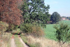 PA030048