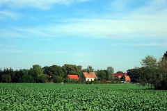 PA030049