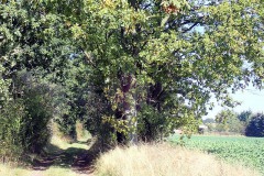 PA030050