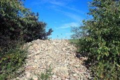 PA030058
