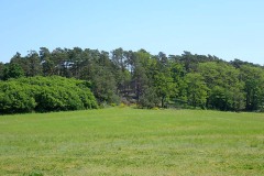 P5180011