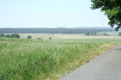 P5180023