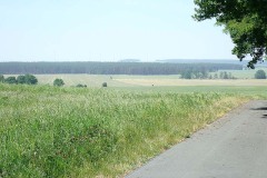 P5180024
