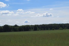 IMG_0001