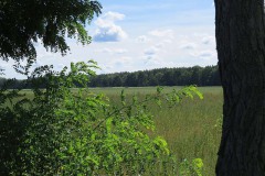IMG_0002