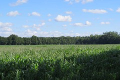 IMG_0003
