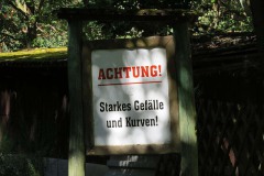 IMG_0006
