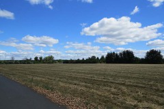 IMG_0010
