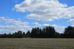 IMG_0014