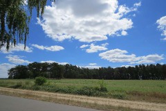 IMG_0015
