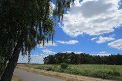 IMG_0016