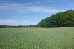 p1020910