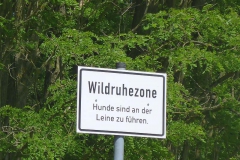 p1020911