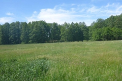 p1020920