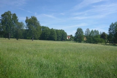 p1020921