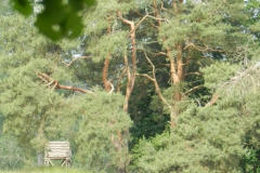 008_12