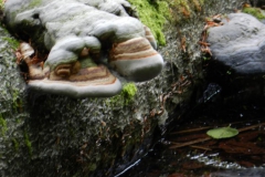 030_12