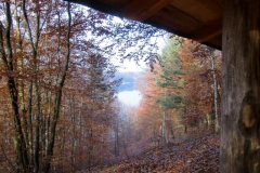 049_12