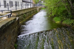 p1000548_copy