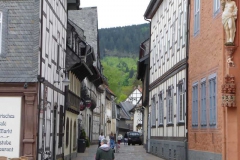 p1000557_copy