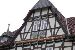 p1000558_copy