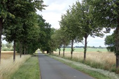 P7110008