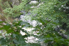 p1030068