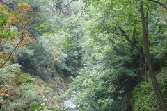 p1030069