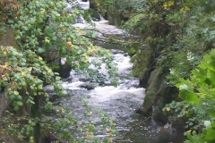 p1030071