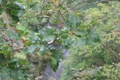 p1030077