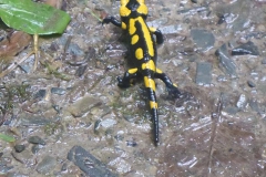 p1030093