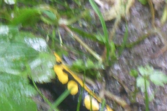 p1030094