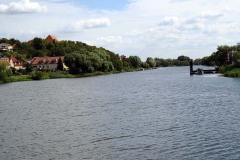IMG_0010