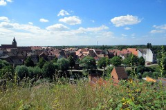 IMG_0031