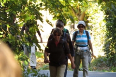 img_0929 img_0929