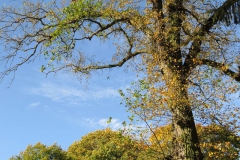 img_0949 img_0949