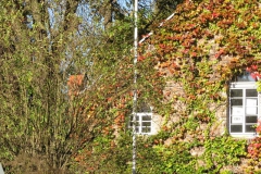 img_0950 img_0950