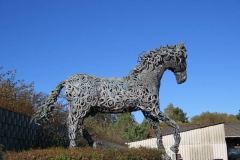 img_0980 img_0980
