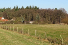 img_1529