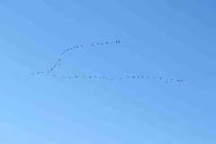 img_1537