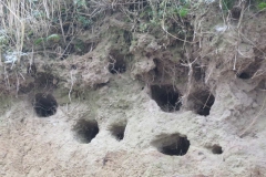 img_1563