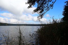 PA170004 PA170004