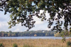 PA170032 PA170032