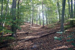 PA170044 PA170044