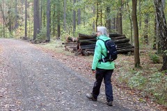 PA170051 PA170051