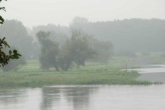 blick_nach_deutschland blick_nach_deutschland