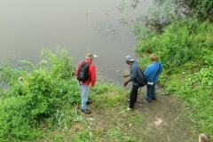 fischsuche fischsuche