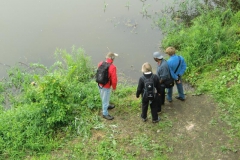 fischsuche1 fischsuche1