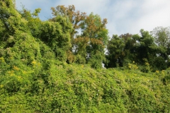 nach_dem_nebel nach_dem_nebel