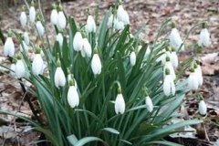 img-20160305-wa0032